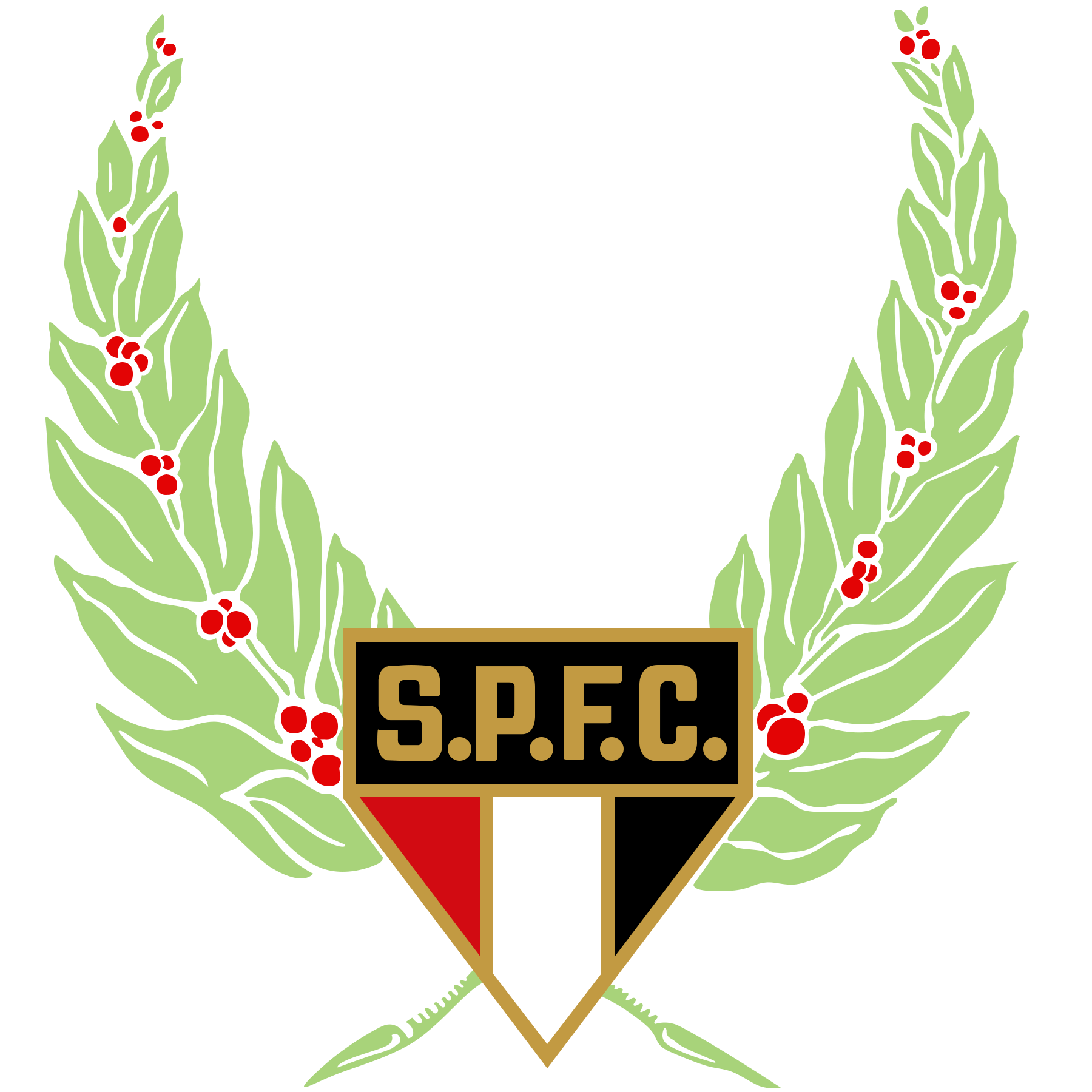 São Paulo Futebol Clube