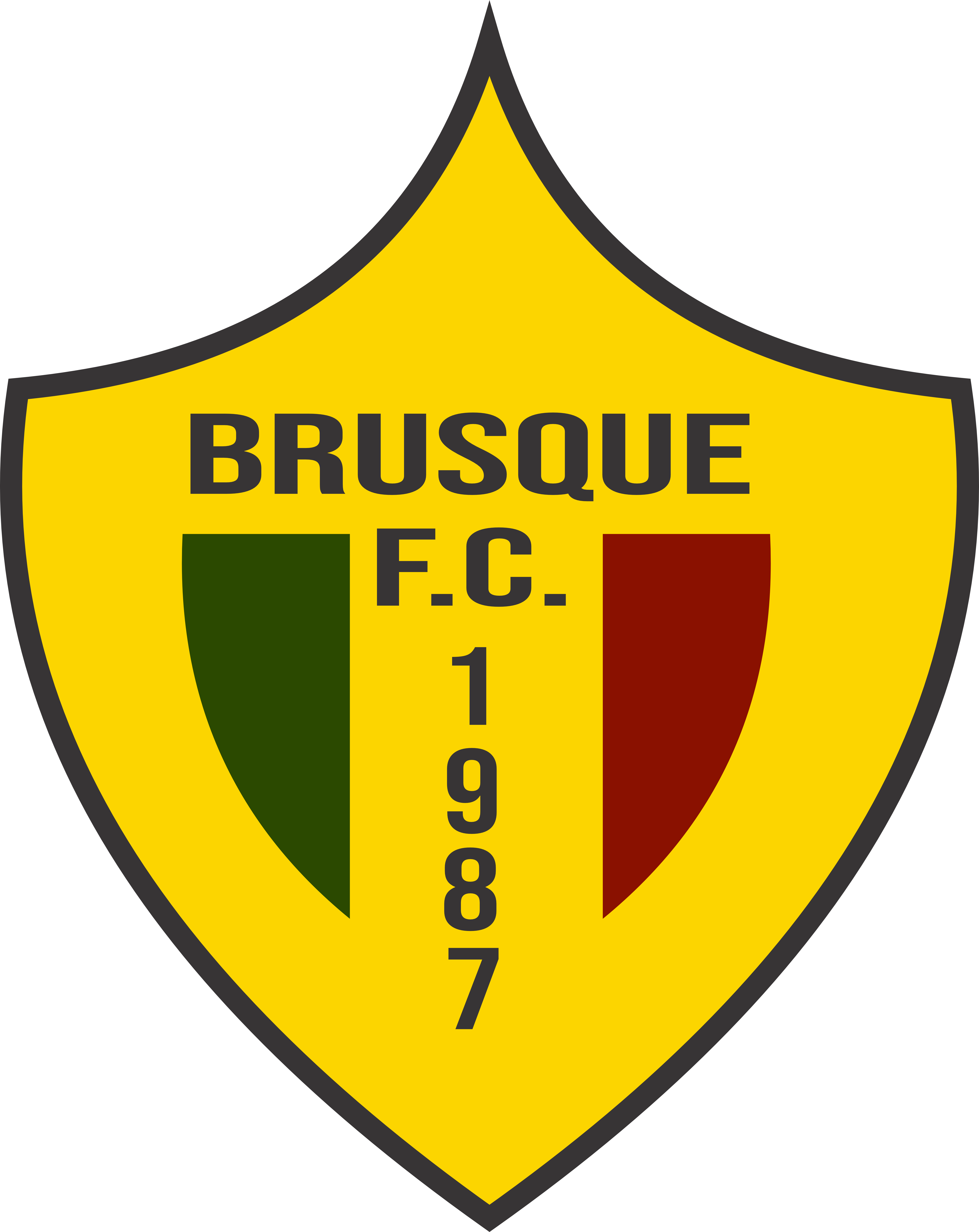 Brusque Futebol Clube